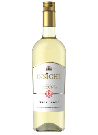 INSIGHT 'CASA PECUNIA'...