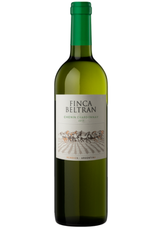 FINCA BELTRAN DUO CHENIN &...